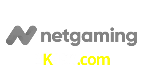 NetGaming